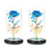 Galaxy Eternal Rose in Glass Dome